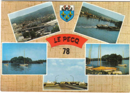 Carte Postale 78. Le Pecq  Trés Beau Plan - Le Pecq