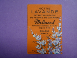 CARTE PARFUMÉE - MOLINARD - NOTRE LAVANDE - - Oud (tot 1960)