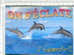 DAUPHINS -  On S' éclate - A Bientôt !! En Lettres Givrées - Dolfijnen