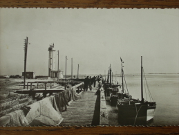 80 - LE HOURDEL - La Jetée (Animée - Séchage Des Filets...) CPSM - Le Hourdel