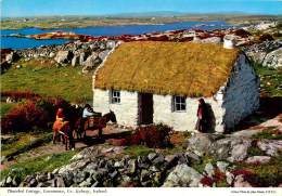 CPSM Irlande-Thatched Cottage-Connemara    L1312 - Galway