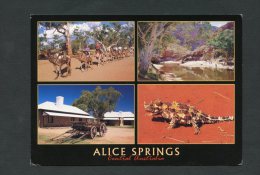 Australie - Alice Springs - Multivues - Outback