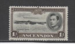 (SA0049) ASCENSION, 1938 (King George VI, 1 Sh., Dark Brown And Black, Perf. 13½). Mi # 49A. MLH* Stamp - Ascension