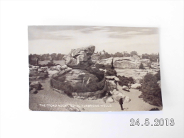 The "Toad Rock" , Royal Tunbridge Wells. - Wells