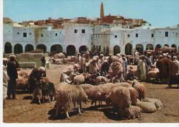 Ghardaia  Algerie   Le Souk  Berger Et Moutons - Ghardaia