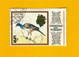 TRINIDAD & TOBAGO 1969,  BIRD Rufous-vented Chachalaca OISEAU Ortalide à Ventre Roux - Gallináceos & Faisanes