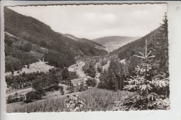 5787 OLSBERG - STEINHELLE, Blick Auf Olsberg 1962 - Meschede