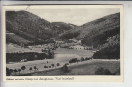 5787 OLSBERG, Ruhrtal Zwischen Olsberg Und Assinghausen 1953 - Meschede