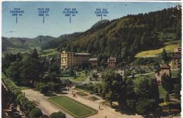 CARTE POSTALE - LE MONT DORE - PUY DE DOME - STATION THERMALE ET TOURISTIQUE - LE PARC ET L'HOTEL DES SAPINS - Chateldon