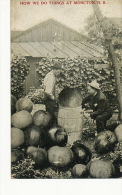 Moncton Surrealisme Montage Photo Gros Fruits Pommes Apples Pressoir - Andere & Zonder Classificatie