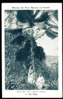 FIDJI DIVERS / Jeunes Filles De La Colonie Indienne / - Fidji