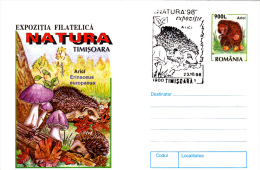 HEDGEHOGS, MUSHROOMS, COVER STATIONERY, ENTIERE POSTAUX, 1998, ROMANIA - Rongeurs