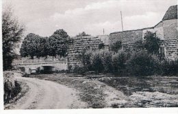 CHATEAUVILLAIN - LE PONT DES MALADES - BELLE CARTE - SEPIA -  TOP !!! - Chateauvillain