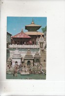 BT13927 Temple Of Pasupati Nath  Kathmandu     2 Scans - Népal