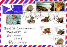 CACTUSSES, STAMPS ON AIRMAIL COVER, 1992, SOUTH AFRIKA - Storia Postale