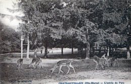 CHATEAUVILLAIN - TRES BELLE CARTE - SEPIA - DE L'ENTREE DU PARC AVEC UN PETIT TROUPEAU DE DAIMS - TOP !!! - Chateauvillain