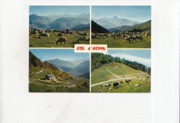 BT14028 Vallee D Aure Le Col D Aspin  Sheep Mouton    2 Scans - Vielle Aure