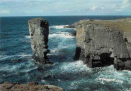 CPSM Yesnaby Castle-Orkney    L1313 - Orkney