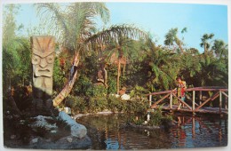 USA - Tiki Gardens - A Beautiful Wahini Gazes ... Between Clearwater And St. Petersburg - Animée / Lived Up - Clearwater