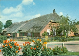 Groeten Uit Staphorst - Staphorster Boerderij - Andere & Zonder Classificatie