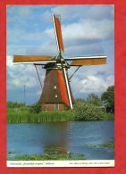 * PAYS BAS-Poldermolen "KINDERDIJK-Complex"-1981(Mouln Molen)-1981 - Kinderdijk