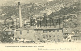 PORTUGAL - COVILHA - FABRICA DE SEBASTIÃO DA COSTA RATTO & SOBRINHOS - 1905 PC. - Castelo Branco