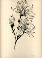 - DECOUPIS FLEURS . SIGNE ET DATE 1965 . - Bloemen