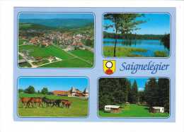 Suisse // Berne // Saignelégier - Saignelégier