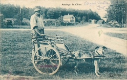 Argent Sur Sauldre: Attelage De Chien Voiture A Chiens - Argent-sur-Sauldre