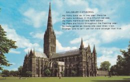 Cp , ANGLETERRE , SALISBURY  , Cathedral - Salisbury