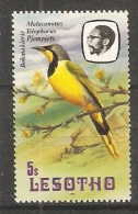 Lesotho  1981  Birds: Bokmakierie Shirike  5s  (**)  MNH - Lesotho (1966-...)