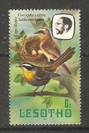 Lesotho  1981  Birds: Cape Robin Chat  6s  (**)  MNH - Lesotho (1966-...)