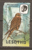 Lesotho  1981  Birds: Greater Kestrel  1s  (o) - Lesotho (1966-...)