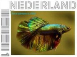 Nederland 2012 Ucollect  Vis 3 Betha Splendens  Postfris/mnh/sans Charniere - Nuovi