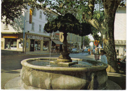 Carte Postale 83. La Garde  Sa Fontaine Trés Beau Plan - La Garde Freinet