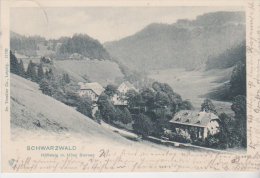 Hollsteig Hotel Sternen 1905 - Höllental