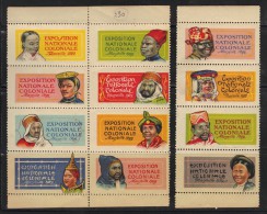 Exposition Coloniale 1922 Série De 12 Vignettes Toutes Avec Gomme ** - Briefmarkenmessen
