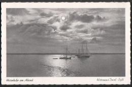 AK Sylt, Hörnum, Heimkehr Am Abend, Ung - Sylt