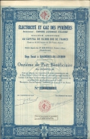 ELECTRICITE DES PYRENEES - Elettricità & Gas