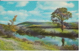 Nouvelle-Écosse Nova Scotia - Garden Pool Margaree River - Cape Breton - Unused - VG Condition - Cape Breton