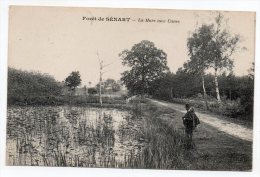 Cpa 91 - Forêt De Sénart - La Mare Aux Canes - Sénart