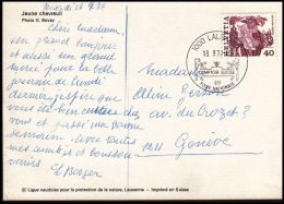 Switzerland 1979, Card Lausanne To Geneve - Brieven En Documenten