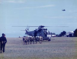 (462) Royal Australian Navy Helicopter - Photos (not Postcard) - Helicopters