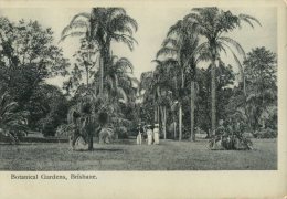 (392) Very Old Postcard - Carte Ancienne - Australia - QLD - Brisbane Botanical Gardens - Brisbane
