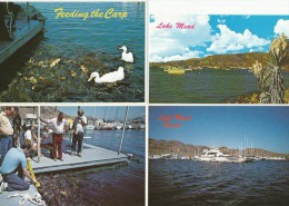 LAKE MEAD RESORT NEVADA World's Largest Man-made Lake Feeding The Carp 4 Postcards - Otros & Sin Clasificación