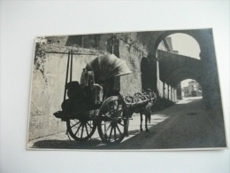 Carro  Dedicato Al Trasporto Delle Botti Da Vino Trainato Da Cavallo Con Cane Sulle Botti Di Vino Roma Carro A Vino - Transportmiddelen