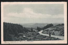 AK Weg Von Schierke Zum Brocken, Ung (Wanderer) (Kupfertiefdruck) - Wernigerode