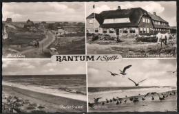 AK Sylt, Rantum, Gasthaus Und Pension Boysen, Strand, Möwen, Ung - Sylt