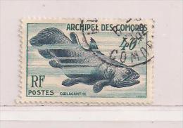 COMORES  ( FRCOM - 3 )  1954   N° YVERT ET TELLIER    N° 13 - Used Stamps