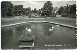 Heerlen - Groeten Uit Molenberg - Heerlen